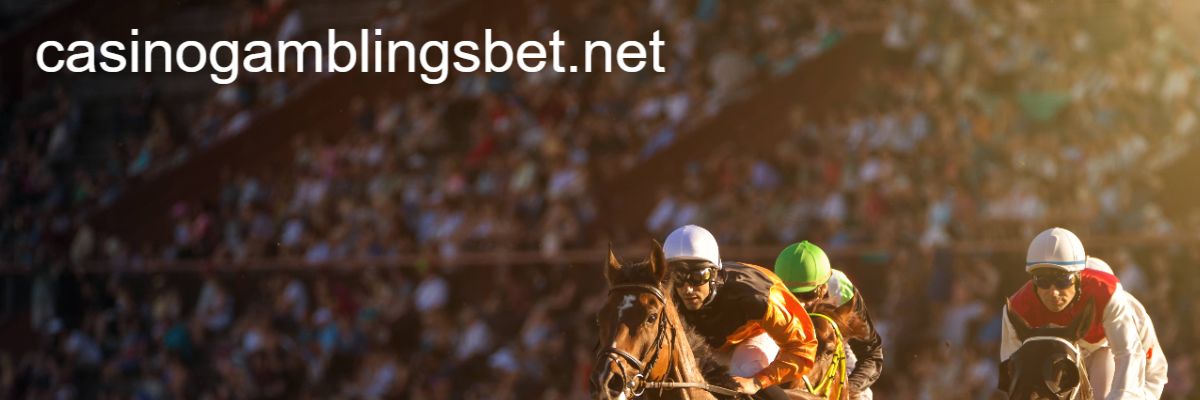 casinogamblingsbet.net